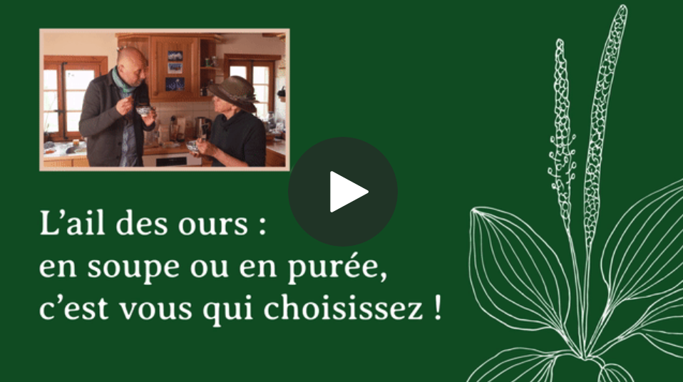 La soupe de lentilles à l’ail des ours