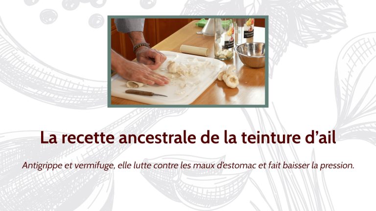 La recette ancestrale de la teinture d’ail